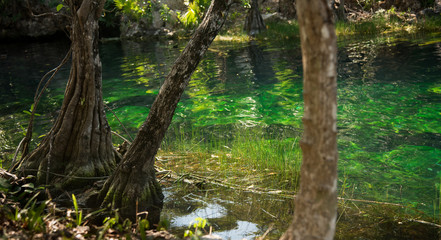 Cenote 