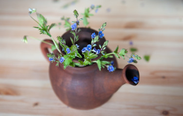 Clay teapot,made of unfired clay is placed on a light wooden table along with spring blue wildflowers. Concept spring time, tea party kettle