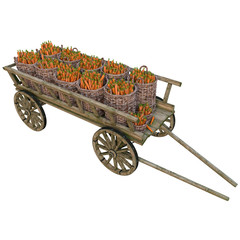 Harvest carrots in a cart