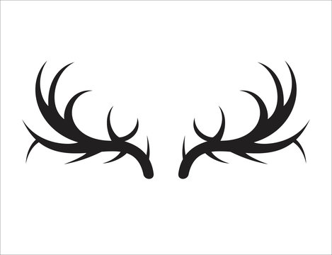 Deer antler ilustration logo vector template	
