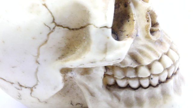 Imitation of a skull with eye sockets and gnashing teeth and it turns on a white background