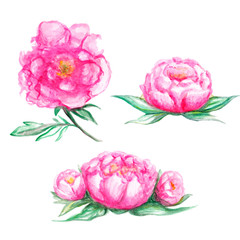 Watercolor beautiful handmade banners and frames set with pink peony flowers
Watercolor flowers peonies. Handmade greeting cards. Spring composition.