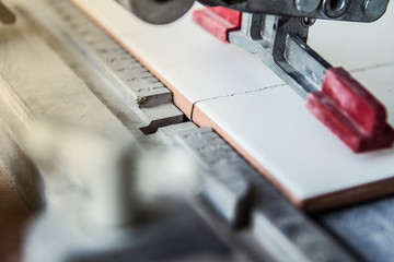 TILERS IN WORK. INSTALL AND CUT. PAVING INDOOR.