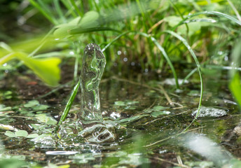 Water drop in the nature