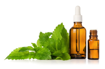 Lemon balm Melissa fresh leaves and essential oil in bottle isolated on white background, herbal...