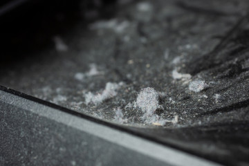 A closeup view of a collection of dust bunnies on a black plastic surface.