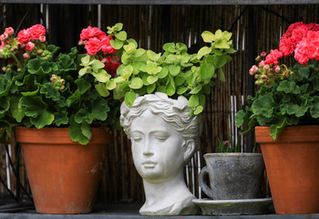 Shabby chic plant pot shaped as a Greek statue sculpture  womans head is sitting between two clay...