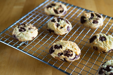 Homemade baked chocolate chip soft cookies cooling on a cooling rack. On a wooden background. Natural light.