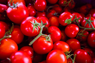 Tomatoes on a branch. Cherry tomatoes background