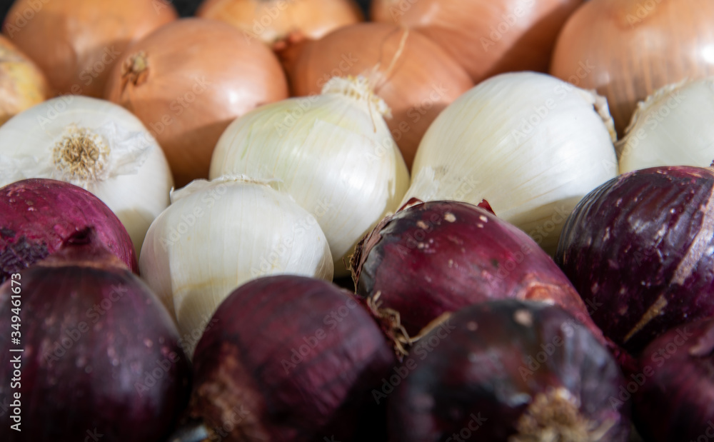 Wall mural onions harvested minimally processed and ready for consumption