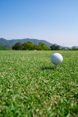 Golf Ball on tee at the teeing area. Golf course with a rich green turf beautiful scenery.