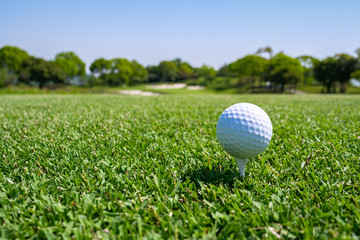 Golf Ball on tee at the teeing area. Golf course with a rich green turf beautiful scenery.