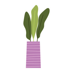 potted plant decoration interior gardening isolated icon design