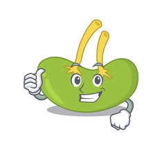 Spleen cartoon character design showing OK finger