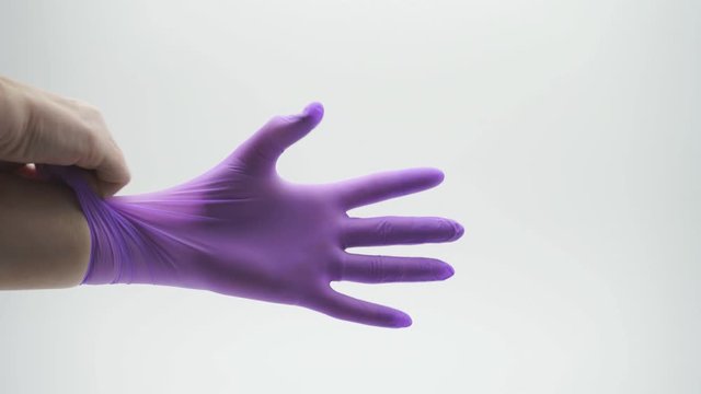 Female hand close-up wearing latex, nitrile, rubber, medical glove lilac color on an isolated white background.