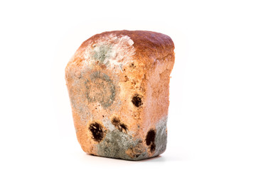 spoiled bread with mold isolated on a white background