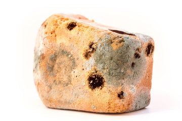 spoiled bread with mold isolated on a white background
