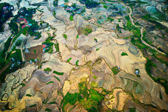 Aerial image of terraces in Y Ty, Lao Cai full of water, ready for plowing and harrowing.