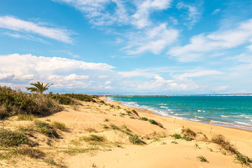 seascape of sand dunes and solitary beach in Guardamar, Alicante. Spain
