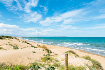 view of wild beach with sand dunes and vegetation in Guardamar, Alicante. Spain