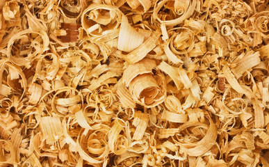 wood shavings