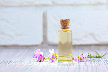 Essential oil of Arabis flower on a White background in beautiful bottle