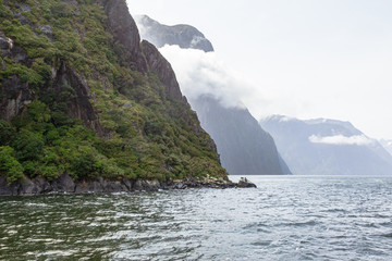 Sheer green rocks among the sea. FiordLand National Park. South Island, New Zealand