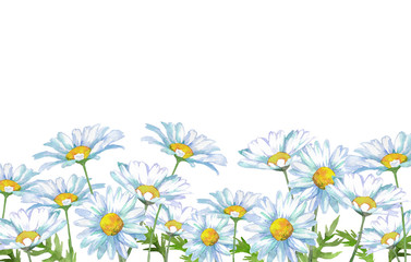 デイジー水彩画