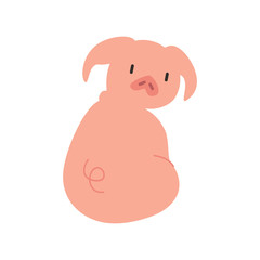 cute animal pig vector