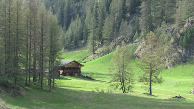 Winkeltal, Winkeltalbach, Gebirgsbach, Tal, Zentralalpen, Osttirol, Villgraten, Au&szlig;ervillgraten, Deferegger Alpen, Villgrater Berge, G&ouml;lbner, Alm, Almh&uuml;tte, Landwirtschaft, Bergbauer, Weide, F&ouml;hre, L&auml;