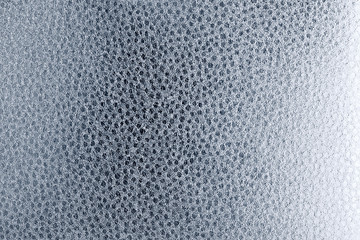 texture silver-embossed leather