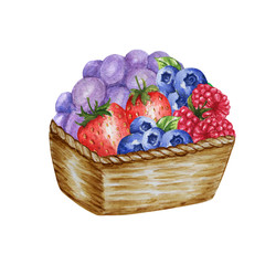 Wooden basket with various berries isolated on a white background. Strawberry, Raspberry, Blueberry watercolor illustration