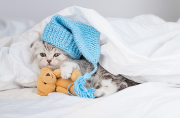 A small cute striped Scottish breed kitten lies on a bed under a blanket in a blue cap hugging a teddy bear