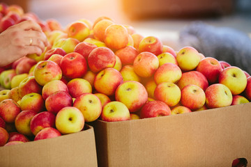 Fresh Apples at Farmers' market
