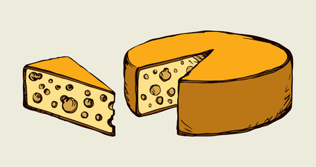 A slice of Dutch cheese. Vector drawing
