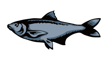 Fototapeta premium Big sea fish. Vector drawing