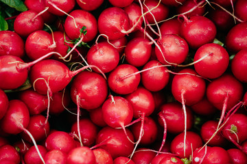 Radish at farmers market