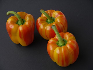 Tiger Paprika