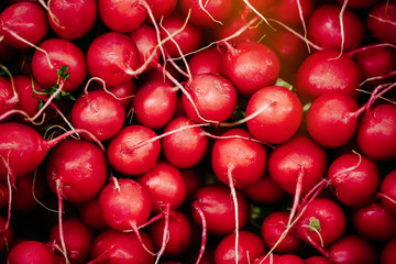 Radish at farmers market