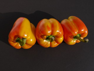 Tiger Paprika