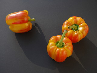 Tiger Paprika