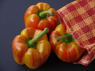 Tiger Paprika