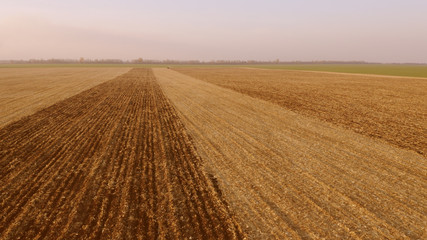 Aerial view of wheat field after harvesting. Cars moving on road near field. Beautiful agricultural landscape.
