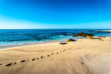 caminata sobre la playa