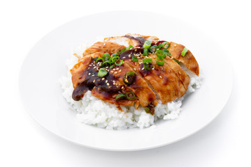 Rice covered by Teriyaki Chicken