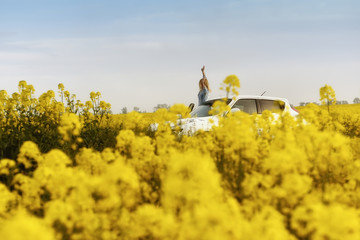 Obraz premium A happy joyful girl peeks out of a car amid a blooming yellow field. The atmosphere of travel and freedom. 