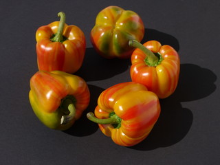Tiger Paprika