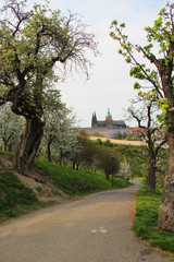 Beautiful view of Prague castle