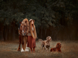 Beautiful long-haired blonde young woman in English style with red draft horse, Irish setter and...