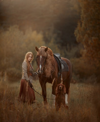 Beautiful long-haired blonde young woman in English style with red draft horse, Irish setter dog in autumn forest